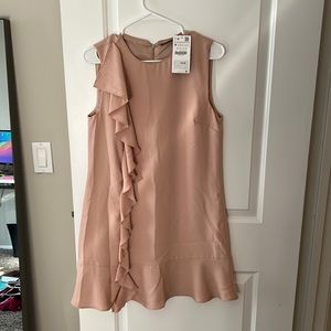 NWT Blush Zara dress